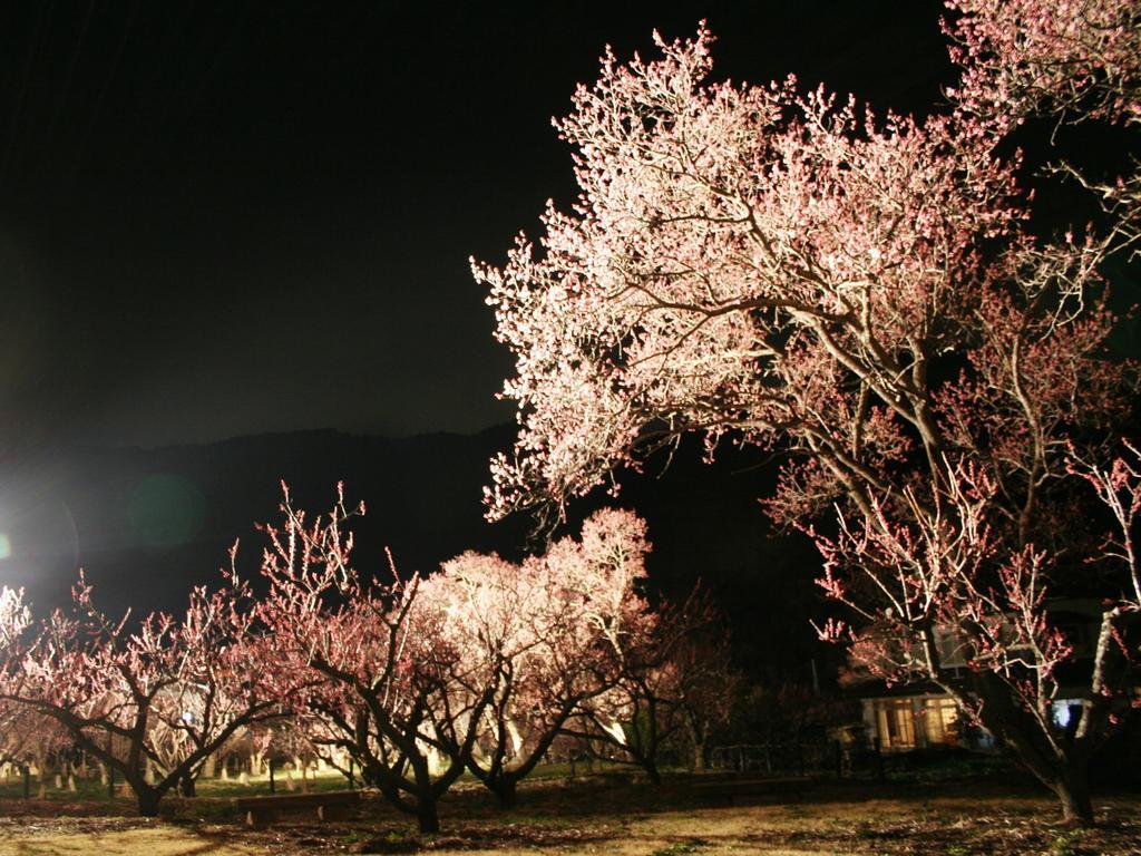 Chikuma Hotel Uzuraya מראה חיצוני תמונה